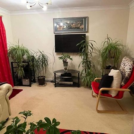 Cozy Homestay Croydon Dış mekan fotoğraf