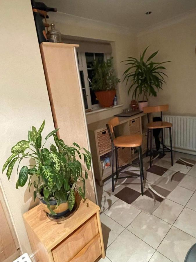 Cozy Homestay Croydon Dış mekan fotoğraf