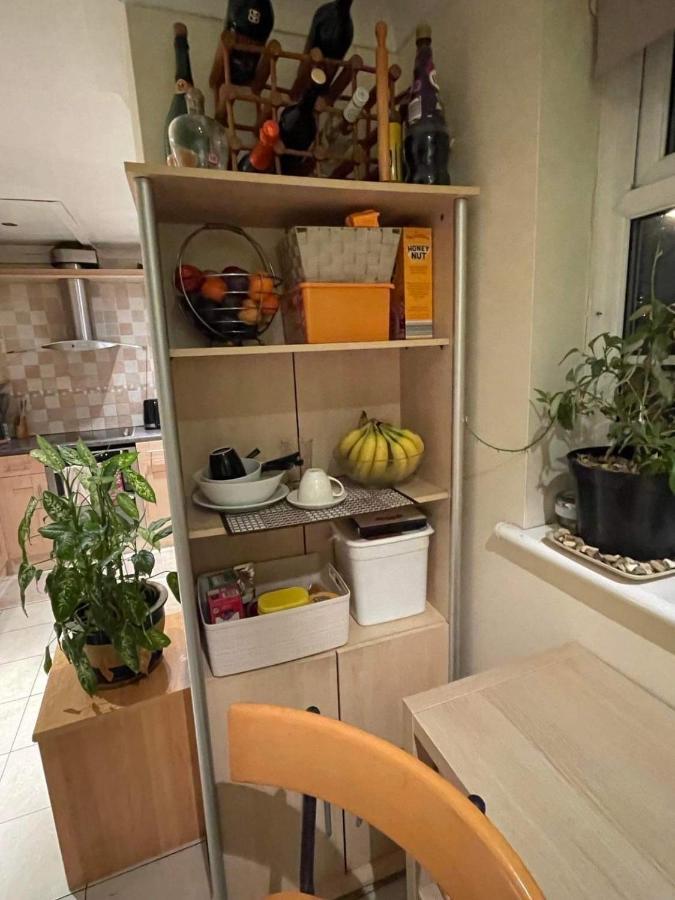 Cozy Homestay Croydon Dış mekan fotoğraf