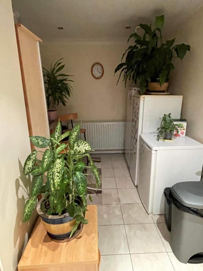 Cozy Homestay Croydon Dış mekan fotoğraf